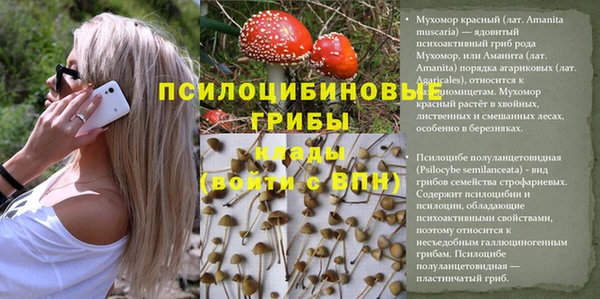 таблы Дмитров
